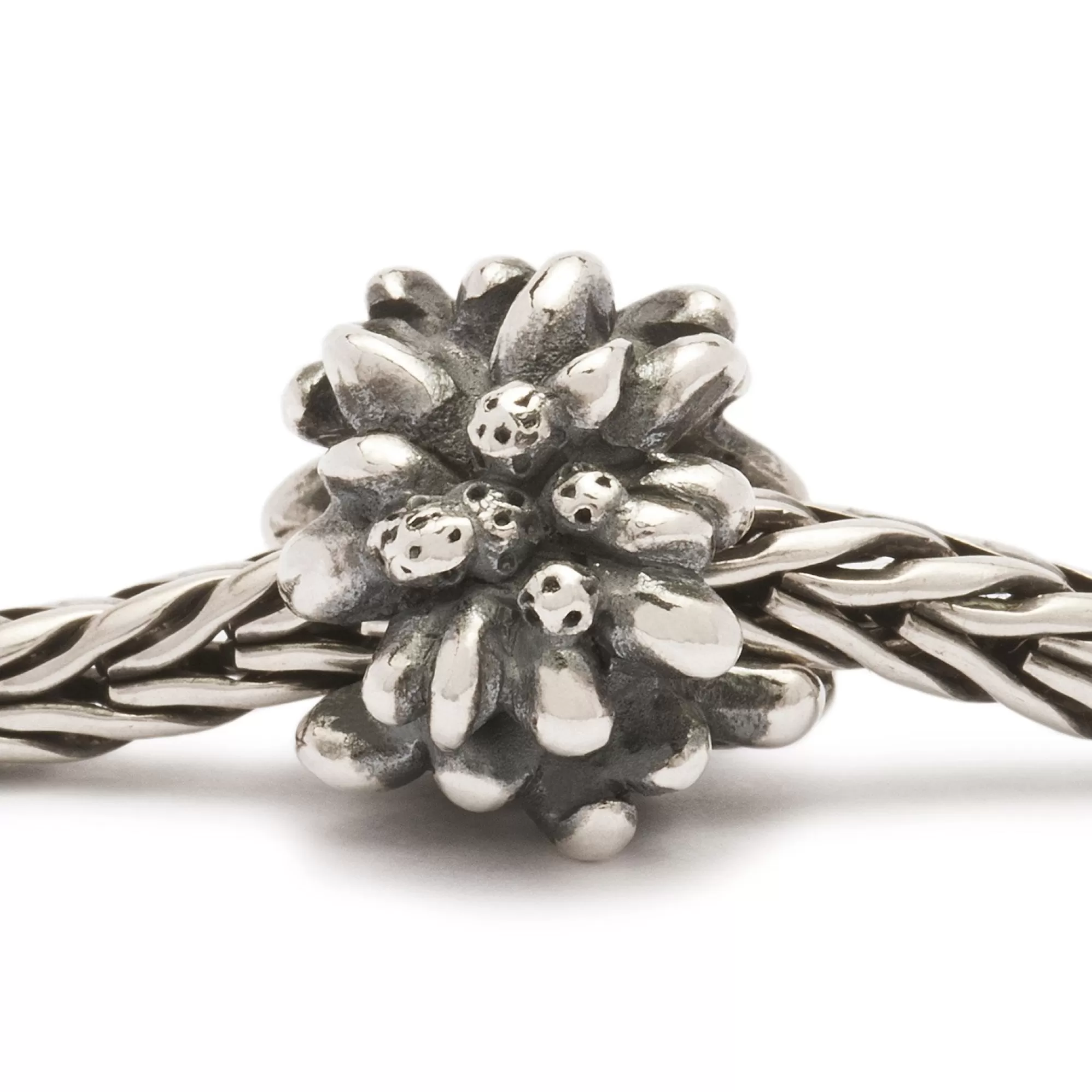 Shop Trollbeads Edelweiss Bead