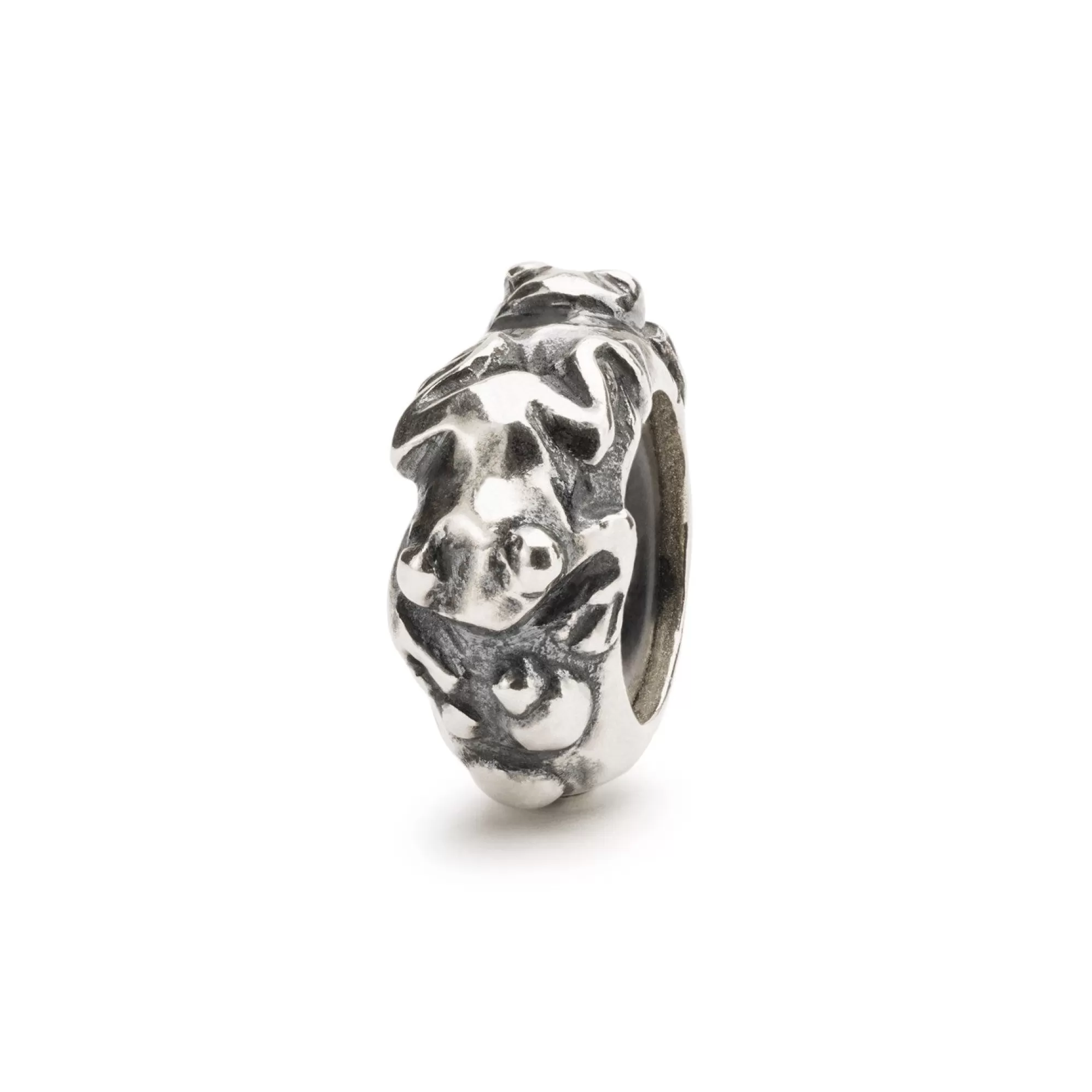 Shop Trollbeads Evolution Spacer